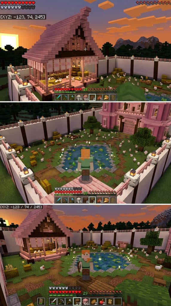 Pink Chicken Coop